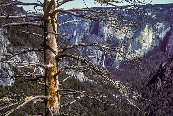 Yosemite-National-Park